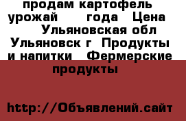 продам картофель. урожай 2017 года › Цена ­ 50 - Ульяновская обл., Ульяновск г. Продукты и напитки » Фермерские продукты   